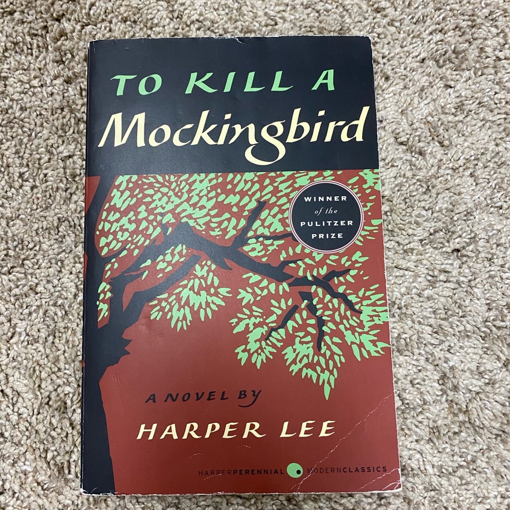 To kill a Mockingbird